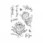Preview: Protea Flowers clear stamps hero arts