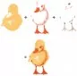 Preview: Duckling color layering Stempel Hero Arts 1