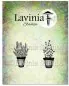 Preview: Rosemary & Thyme Pots Lavinia Clear Stamps