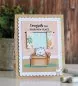 Preview: Cats and Boxes BUNDLE Stempel + Stanzen Gerda Steiner Designs 2