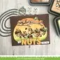 Preview: LF2407 Let's Go Nuts Stempel Lawn Fawn 2