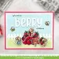 Preview: Berry Special Stempel Lawn Fawn 2