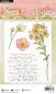 Preview: Spring Meadow Florals studio light clearstamps 1