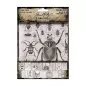 Preview: Halloween Collage Paper Idea-ology Tim Holtz