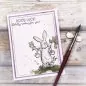 Preview: Rooting For You Clear Stamps Colorado Craft Company by Anita Jeram 1