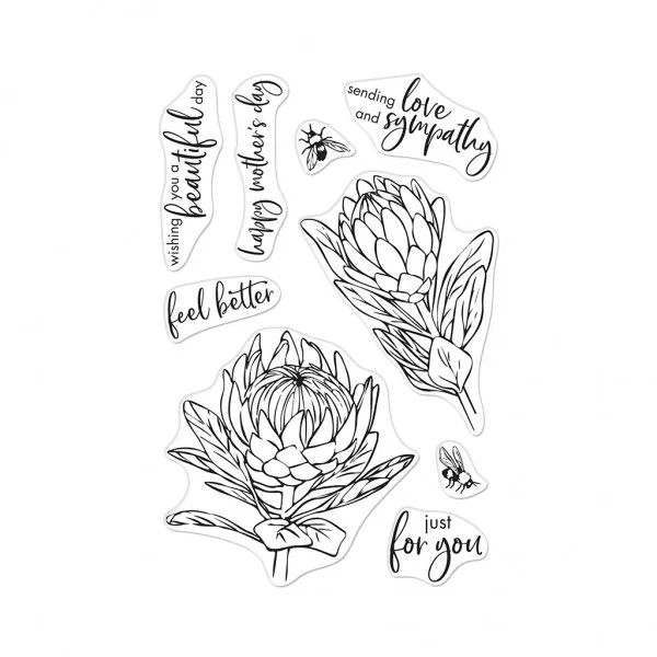 Protea Flowers clear stamps hero arts