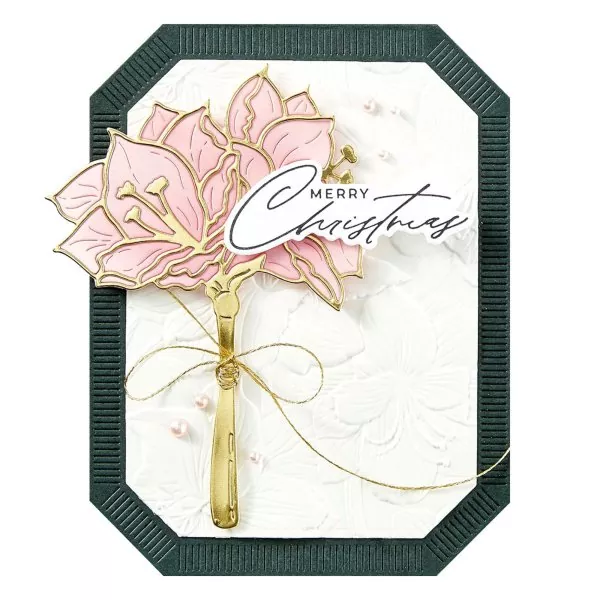 Amaryllis Garden Embossing Folder Spellbinders 2