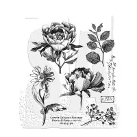 French Garden - Rubber Stamps - Tim Holtz - Stampers Anonymous