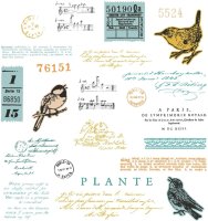 Bird Song Sizzix & 49 and Market Framelits Stanzen & Stempel