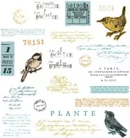 Bird Song - Framelits - Stanzen & Stempel - 49 and Market - Sizzix