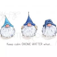 Gnomes have Feelings too - Cling Stamps